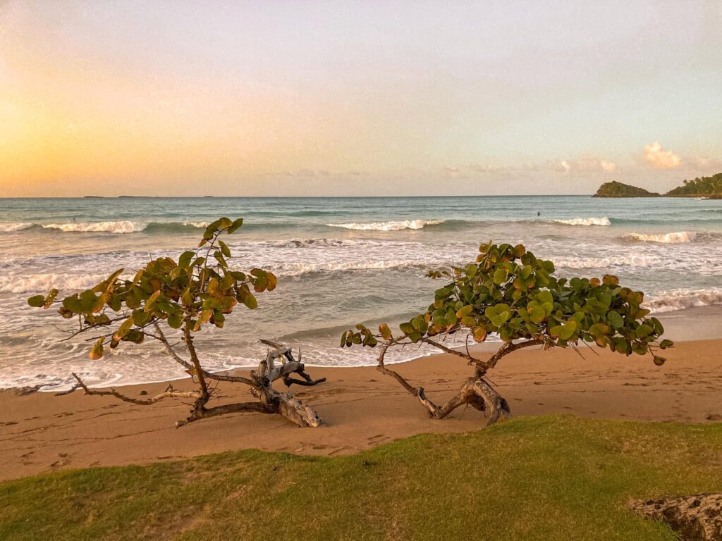 Playa Bonita rand Las Terrenases Dominikaani Vabariigis