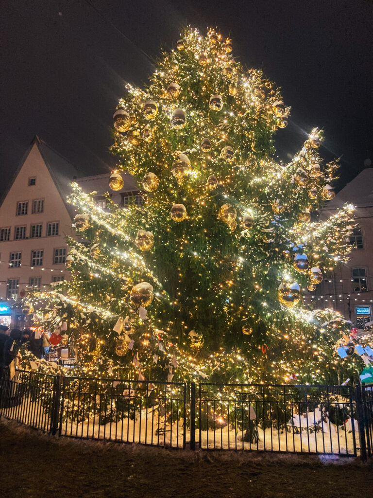 Tallinn Christmas Market Christmas tree on Town Hall Square