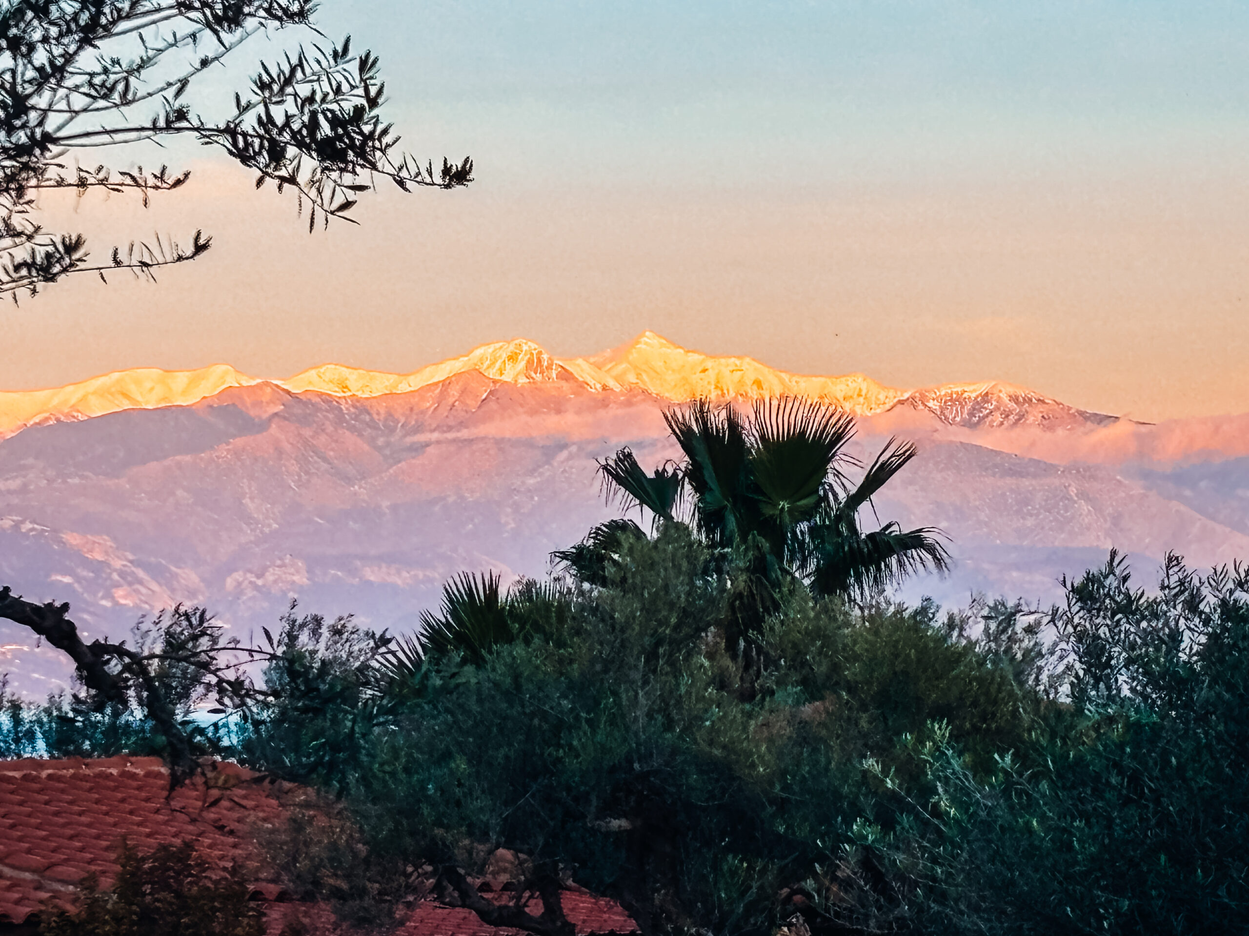 Snow-covered mountains and Mediterranean vegetation in the Peloponnese in winter