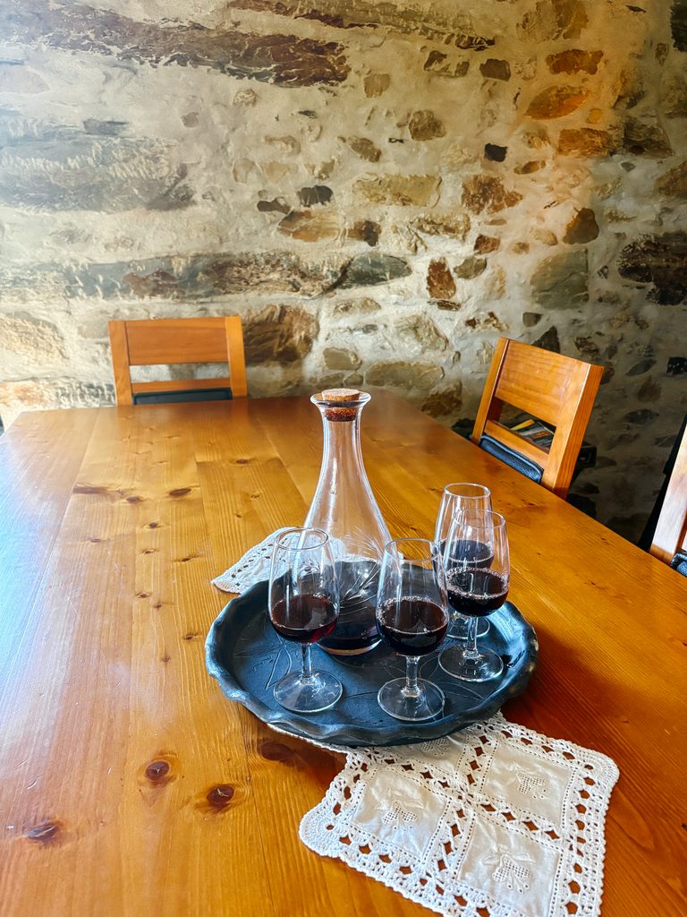 Wine and Port tasting during our winery tour in the Douro Valley