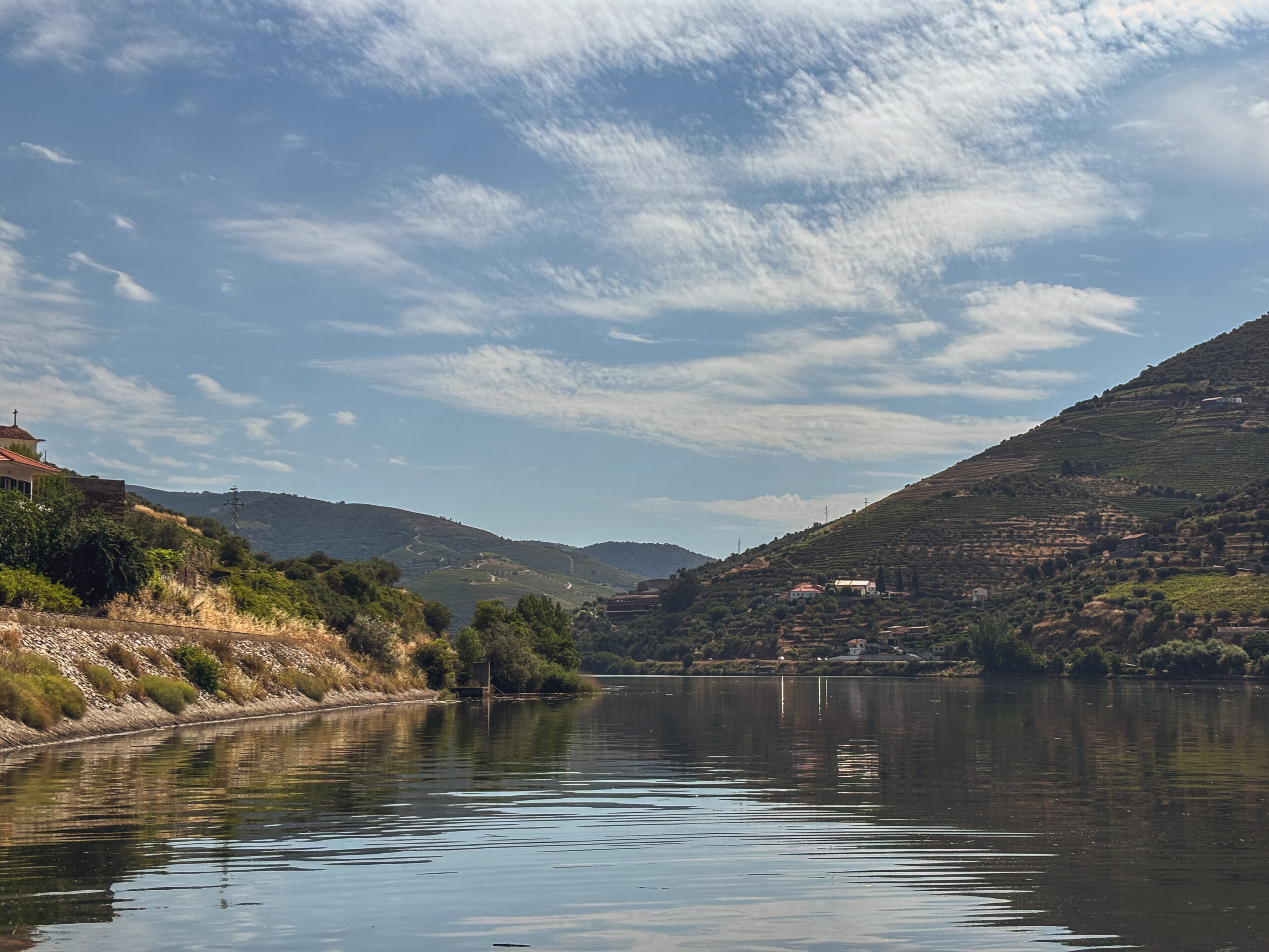 Douro River and vineyard-covered hills on our Porto to Douro Valley train trip