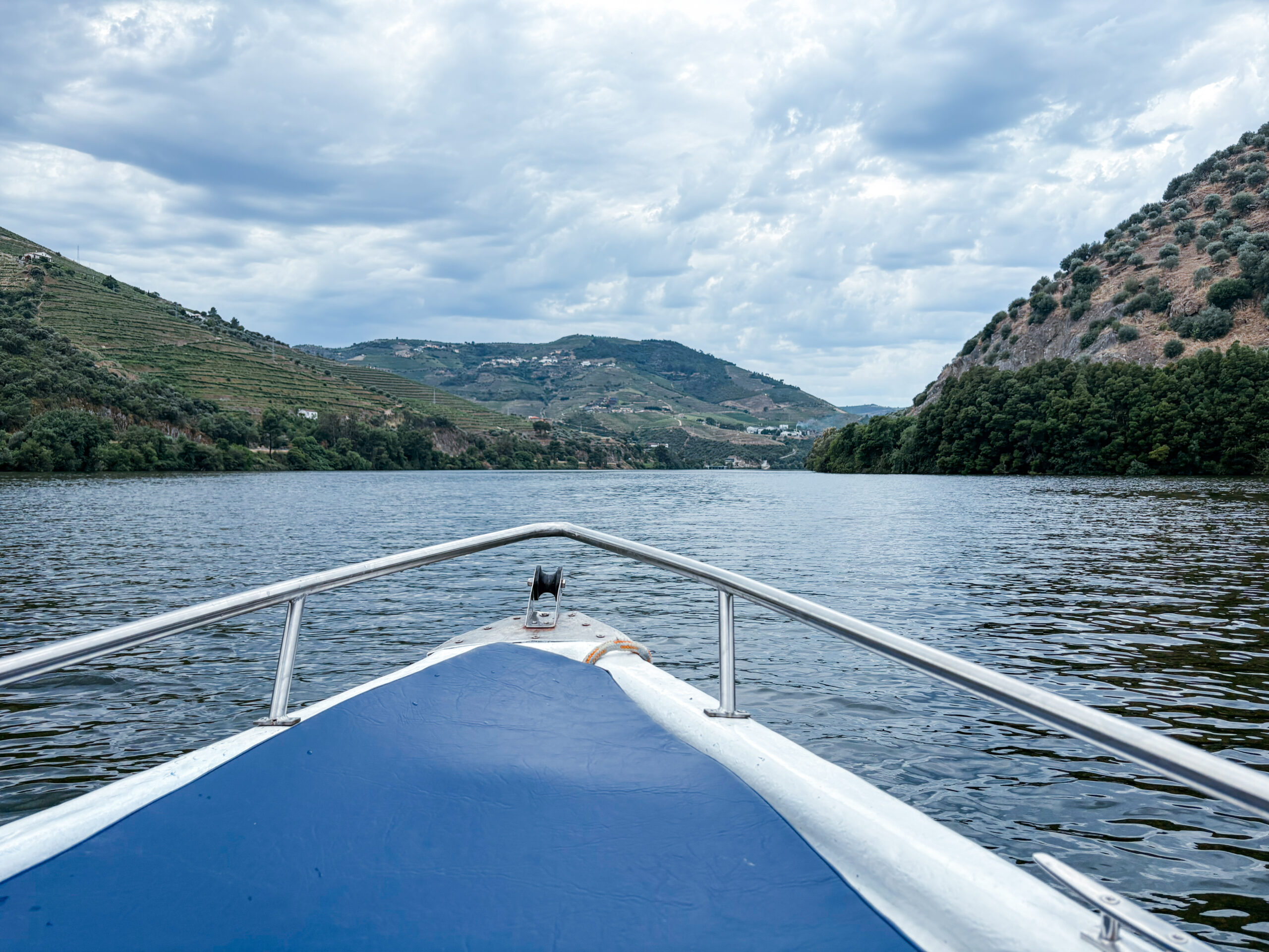 View from a boat on the Douro River, one of the things to do in the Douro Valley
